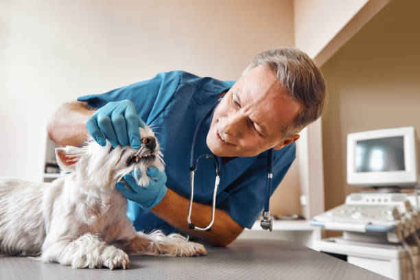 Best Weekend Emergency Dentist in Brenham, TX